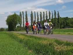 Radeln auf der Buchfinkentour